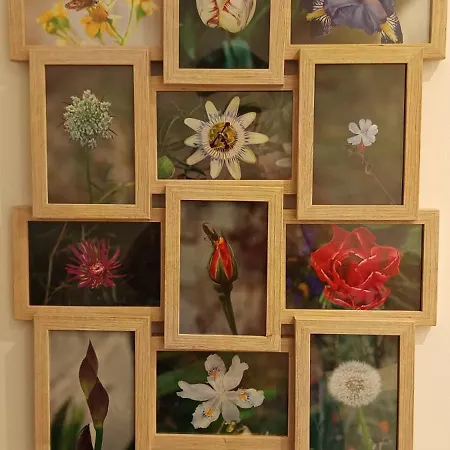 D'hotes Verre Chez Nous Bed and breakfast 3*